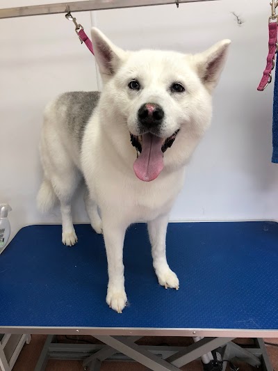 Grooming Van Image