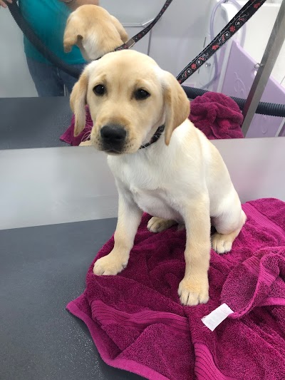 Grooming Van Image