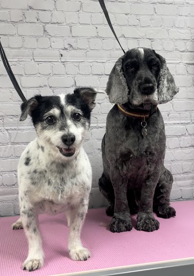 Grooming Van Image