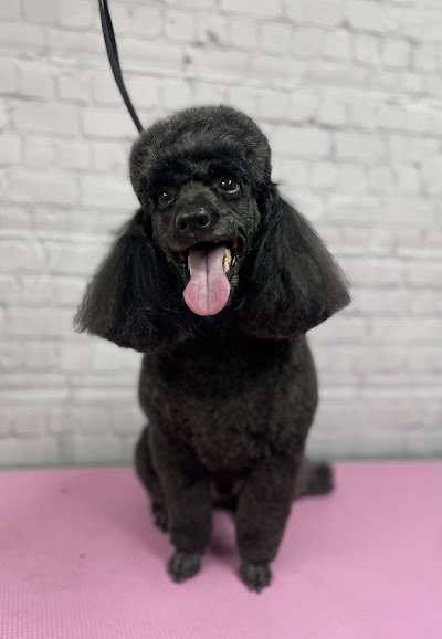 Grooming Van Image