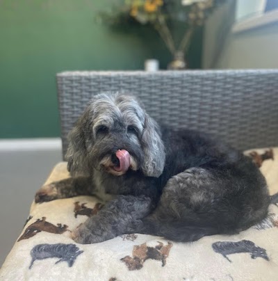 Grooming Van Image
