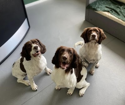 Grooming Van Image