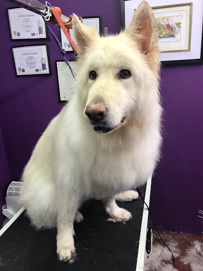Grooming Van Image