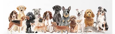 Grooming Van Image