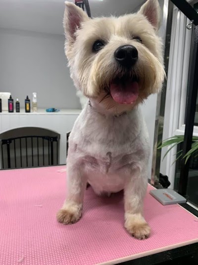 Grooming Van Image