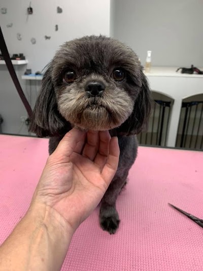 Grooming Van Image