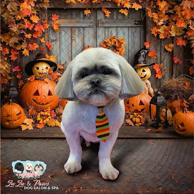 Grooming Van Image