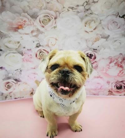 Grooming Van Image