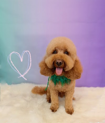 Grooming Van Image