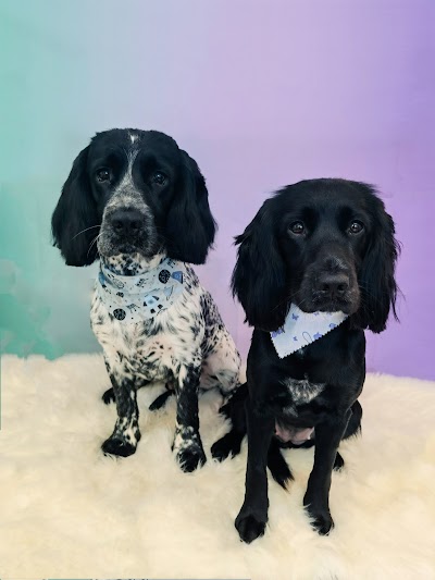 Grooming Van Image