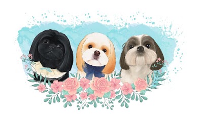 Lulu & Paws Dog Salon Durham