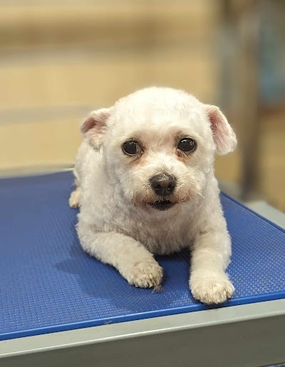 Grooming Van Image