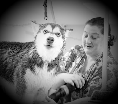 Grooming Van Image