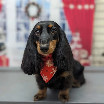 Grooming Van Image
