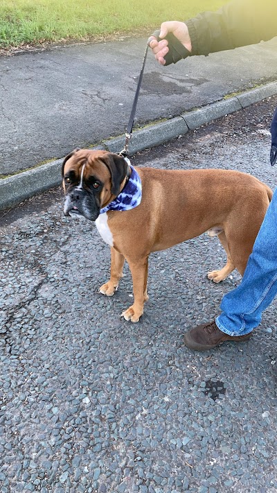 Grooming Van Image