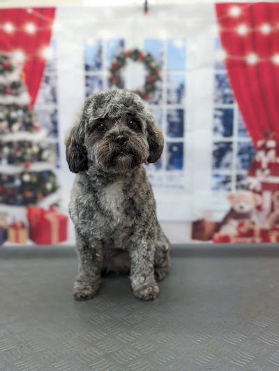 Grooming Van Image