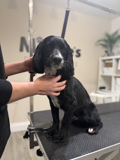 Grooming Van Image
