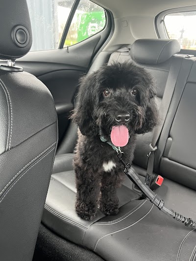 Grooming Van Image
