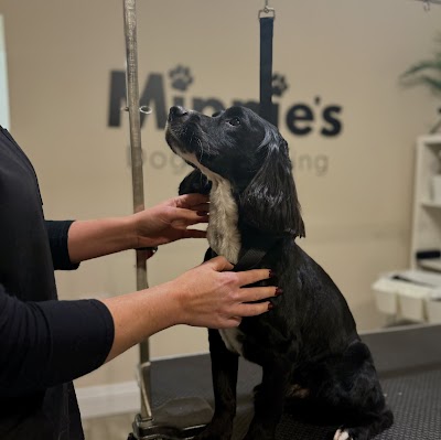 Grooming Van Image