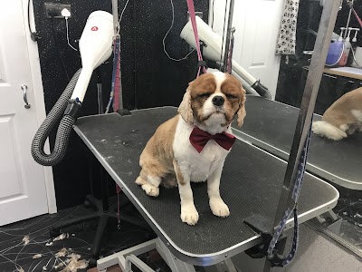 Mucky Pups Dog Grooming Studio