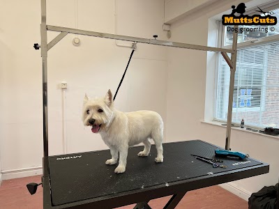 Grooming Van Image