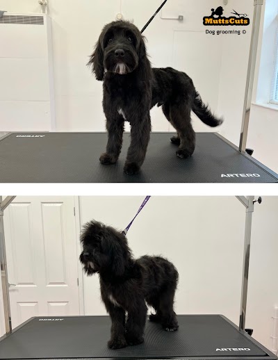 Grooming Van Image