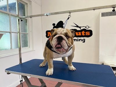 Grooming Van Image