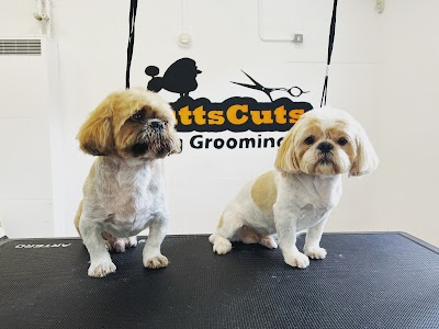 Grooming Van Image