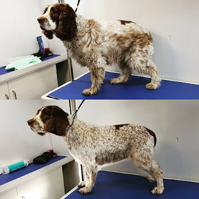 Grooming Van Image