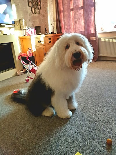 Grooming Van Image