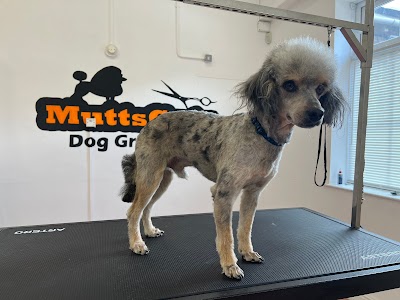 Grooming Van Image