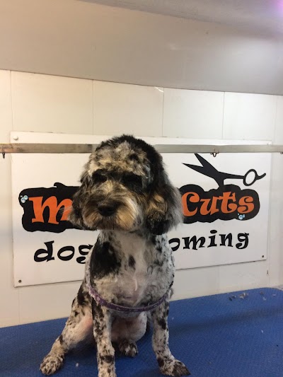 Grooming Van Image