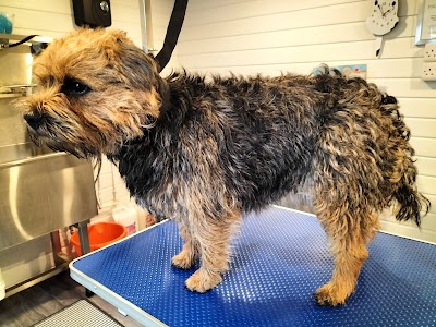 Grooming Van Image