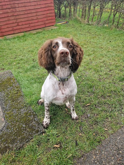 Grooming Van Image