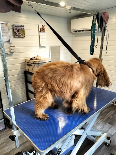 Nose2tail dog groomers