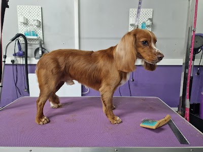 Grooming Van Image
