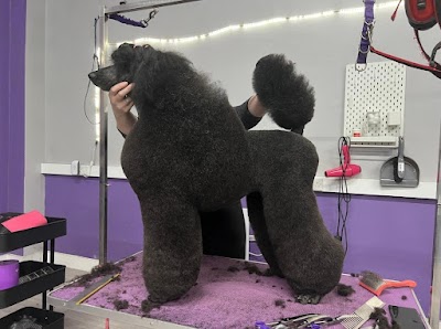 Grooming Van Image