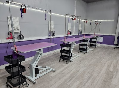 Grooming Van Image
