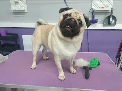 Grooming Van Image