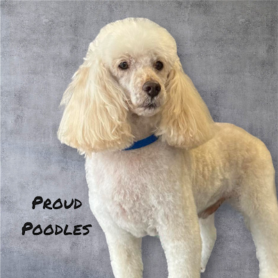 Grooming Van Image
