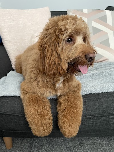 Grooming Van Image