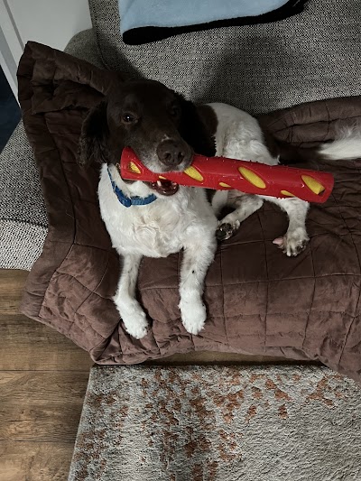 Grooming Van Image