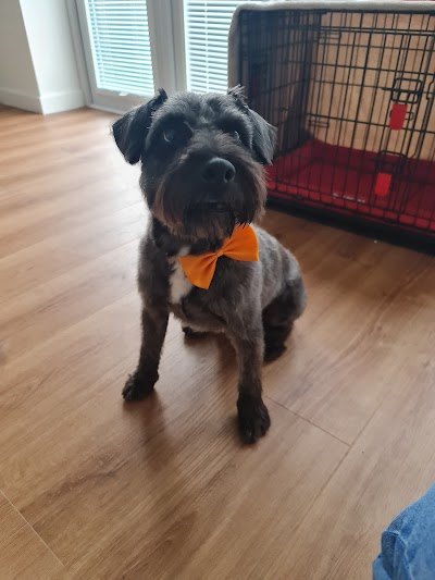 Grooming Van Image