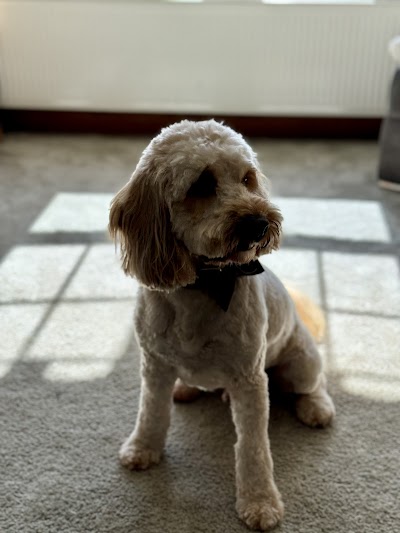 Grooming Van Image