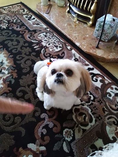 Grooming Van Image