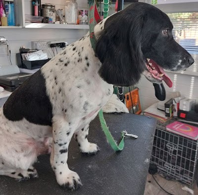 Grooming Van Image