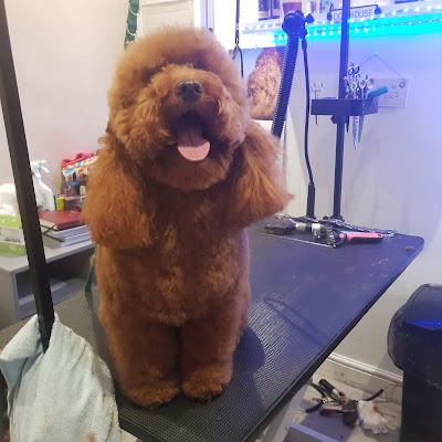 Grooming Van Image