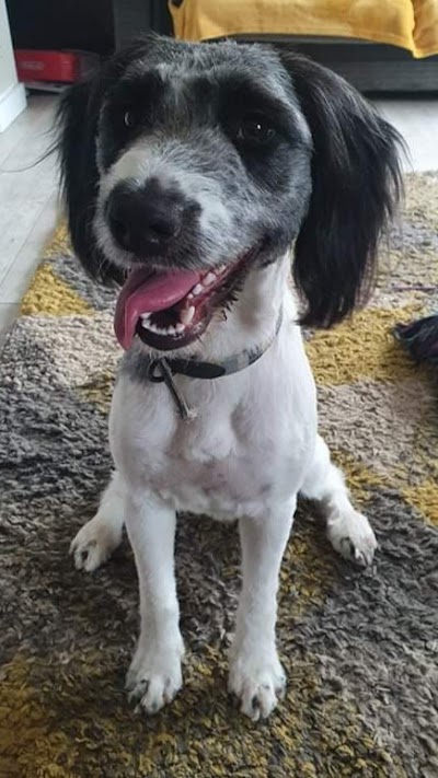 Grooming Van Image