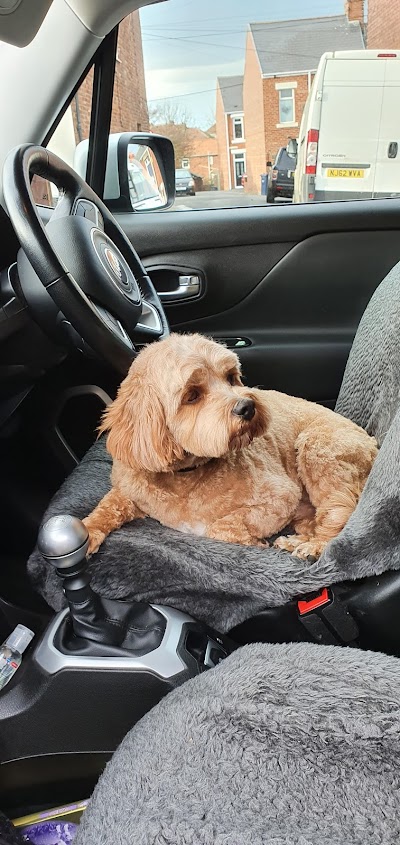 Grooming Van Image