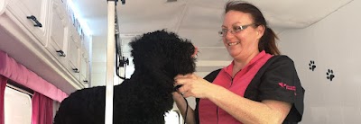 Precious Pampered Pooches